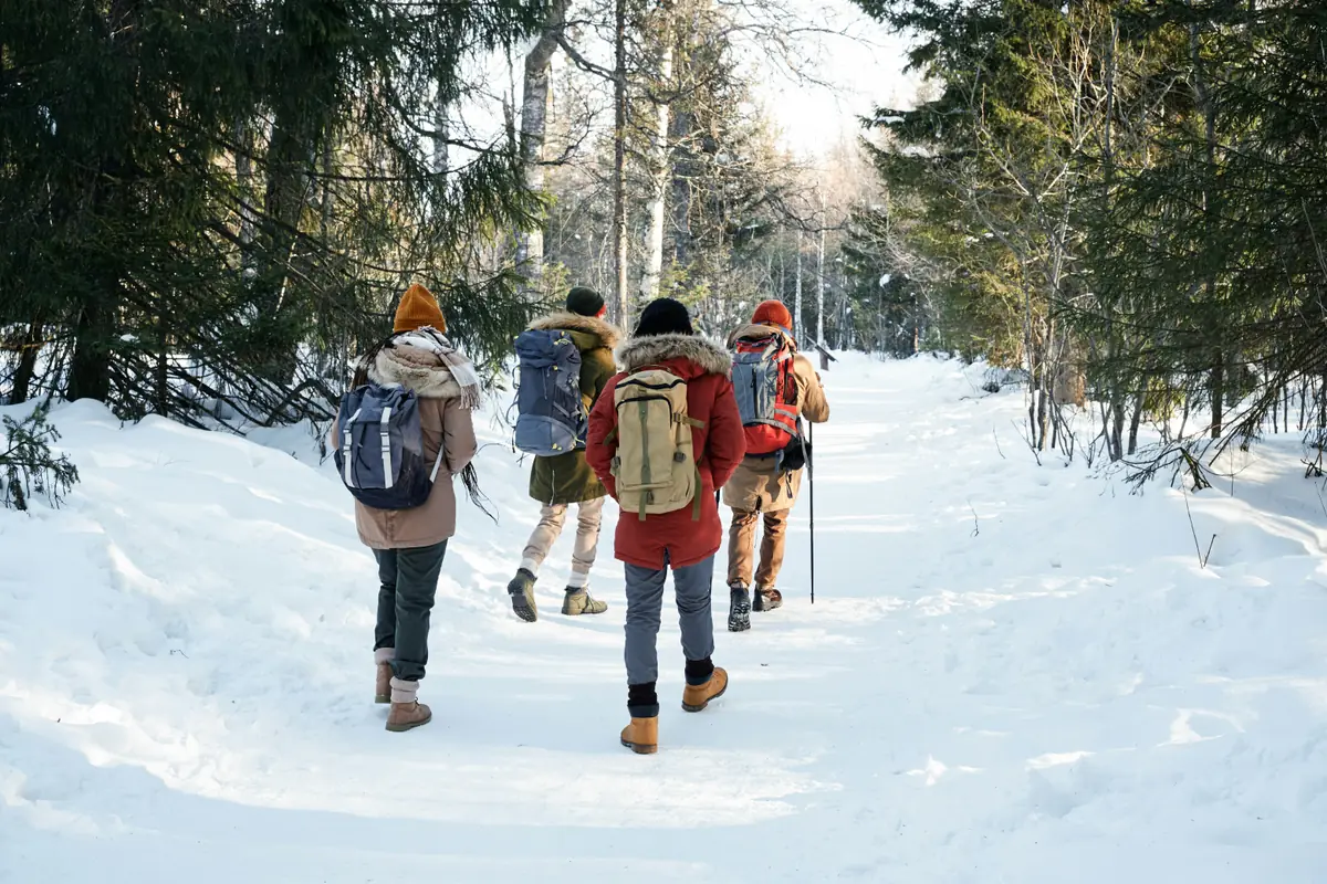 A line of hikers with packs and poles following a snow-packed forest track toward low sun