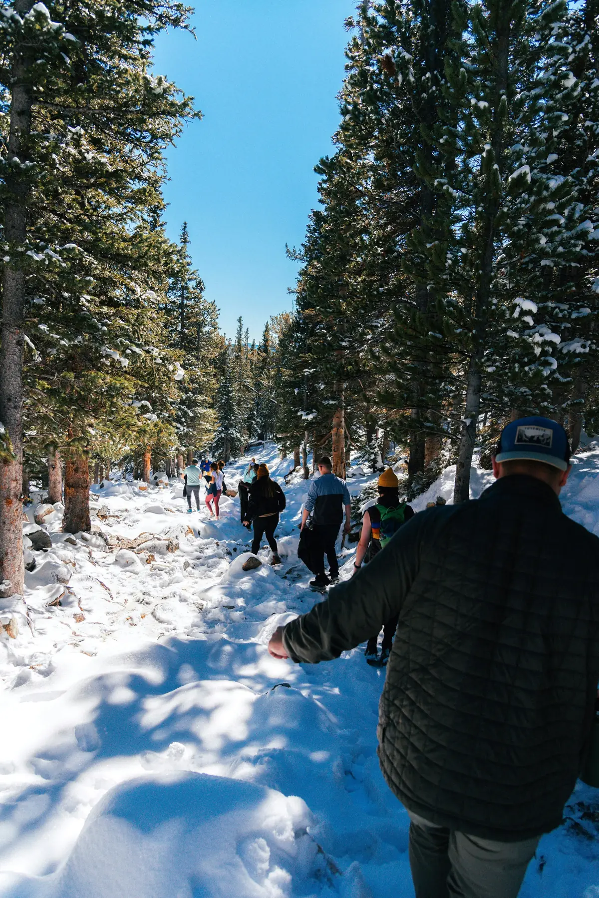 Walkers spread along a packed snow trail between tall evergreens under a clear blue sky