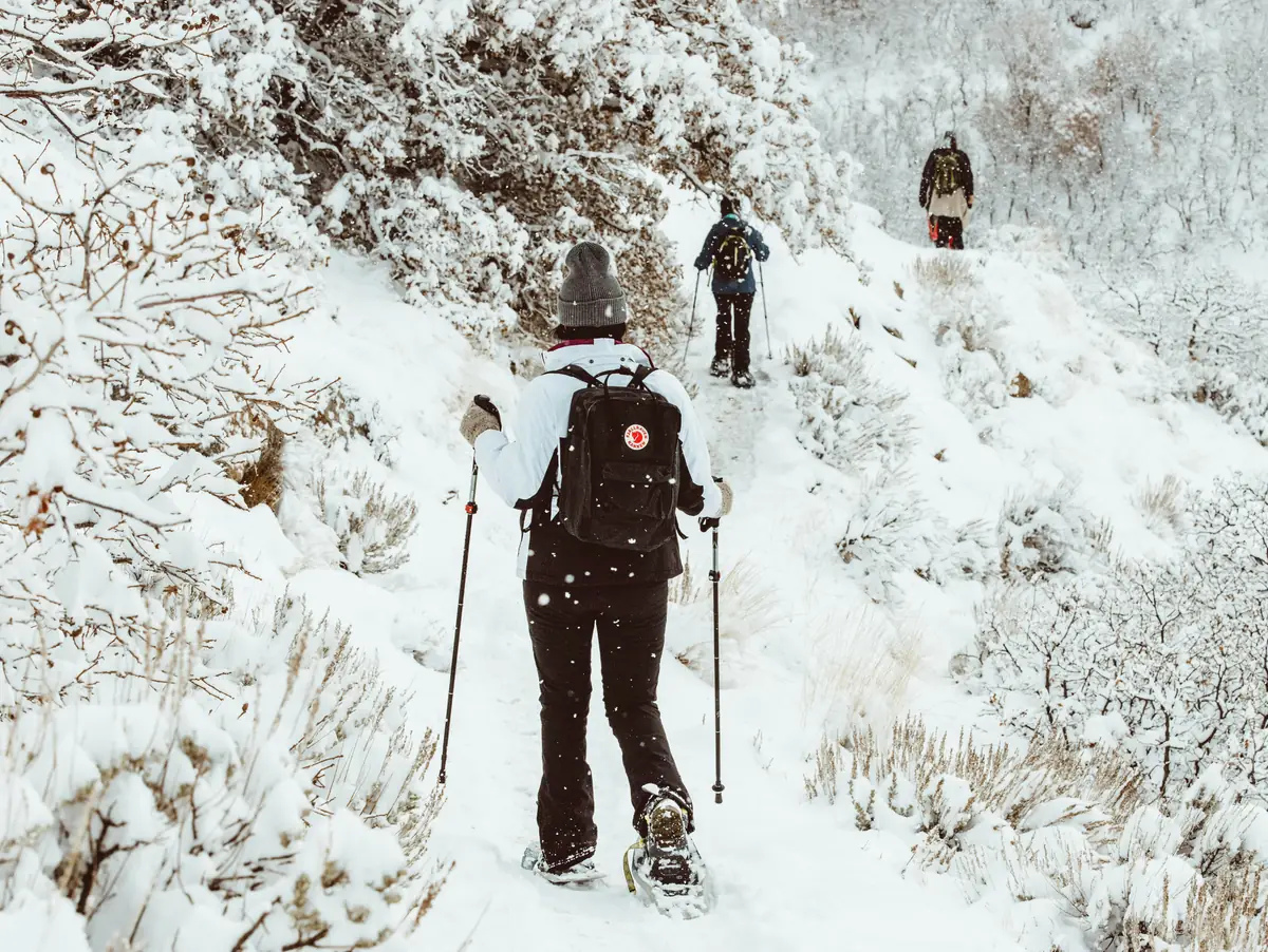 Snowshoers climbing single file up a hillside of snow-covered sage and brush