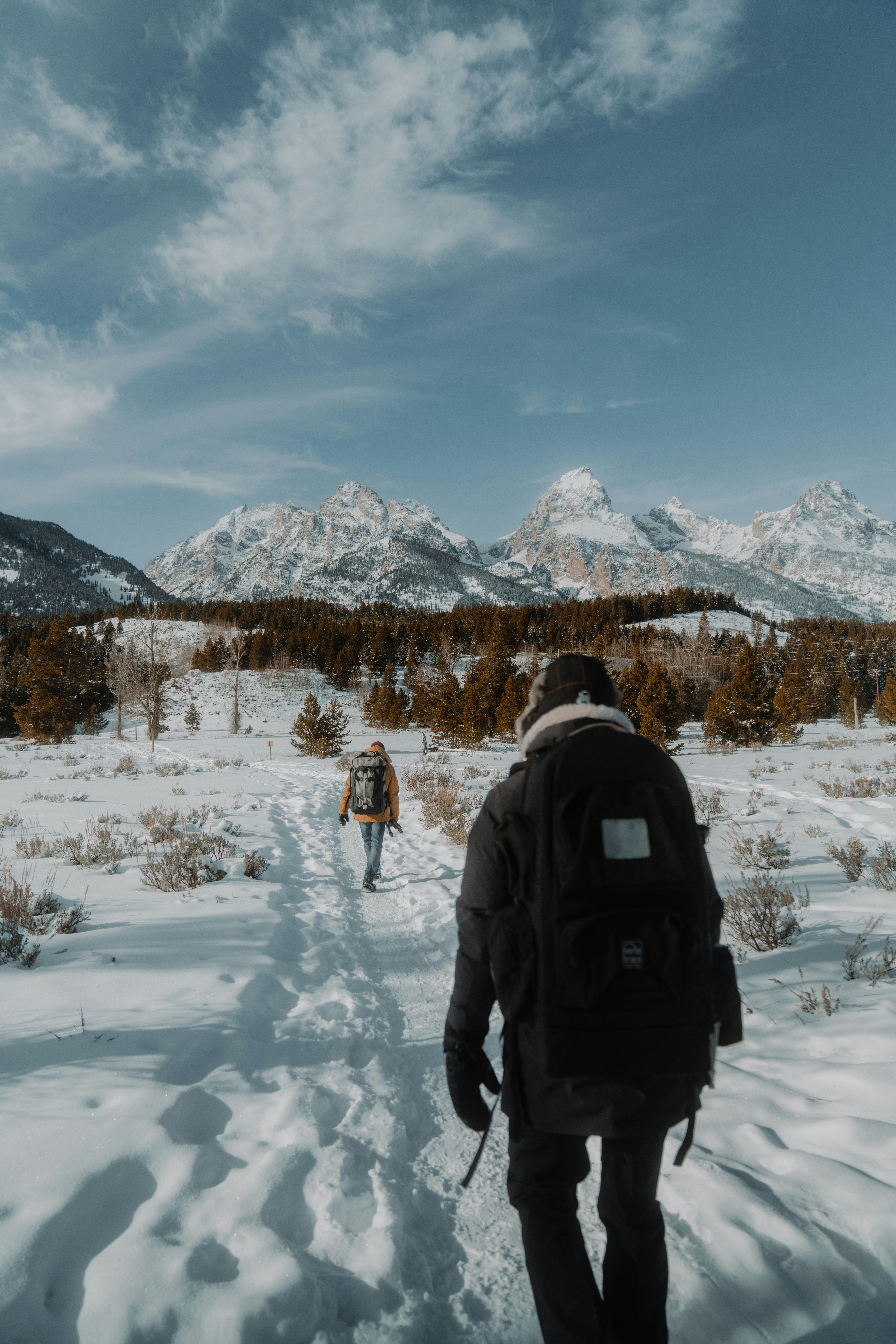 Snowy winter trail through a forest
