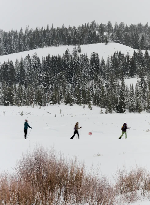 Three cross-country skiers crossing a snowy open meadow below a forested hillside