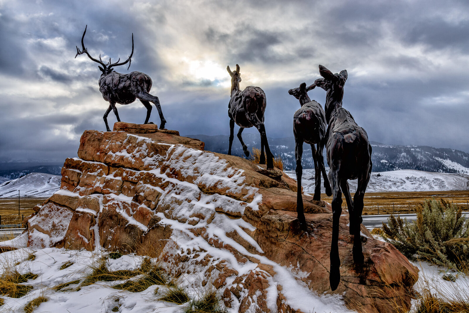 Animal sculpture at the National Museum of Wildlife Art
