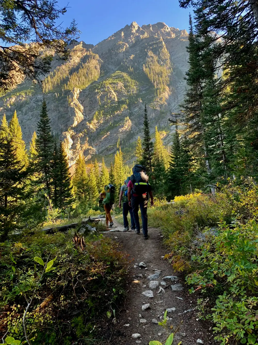 Hikers carrying packs up a backcountry trail toward a sunlit Teton peak
