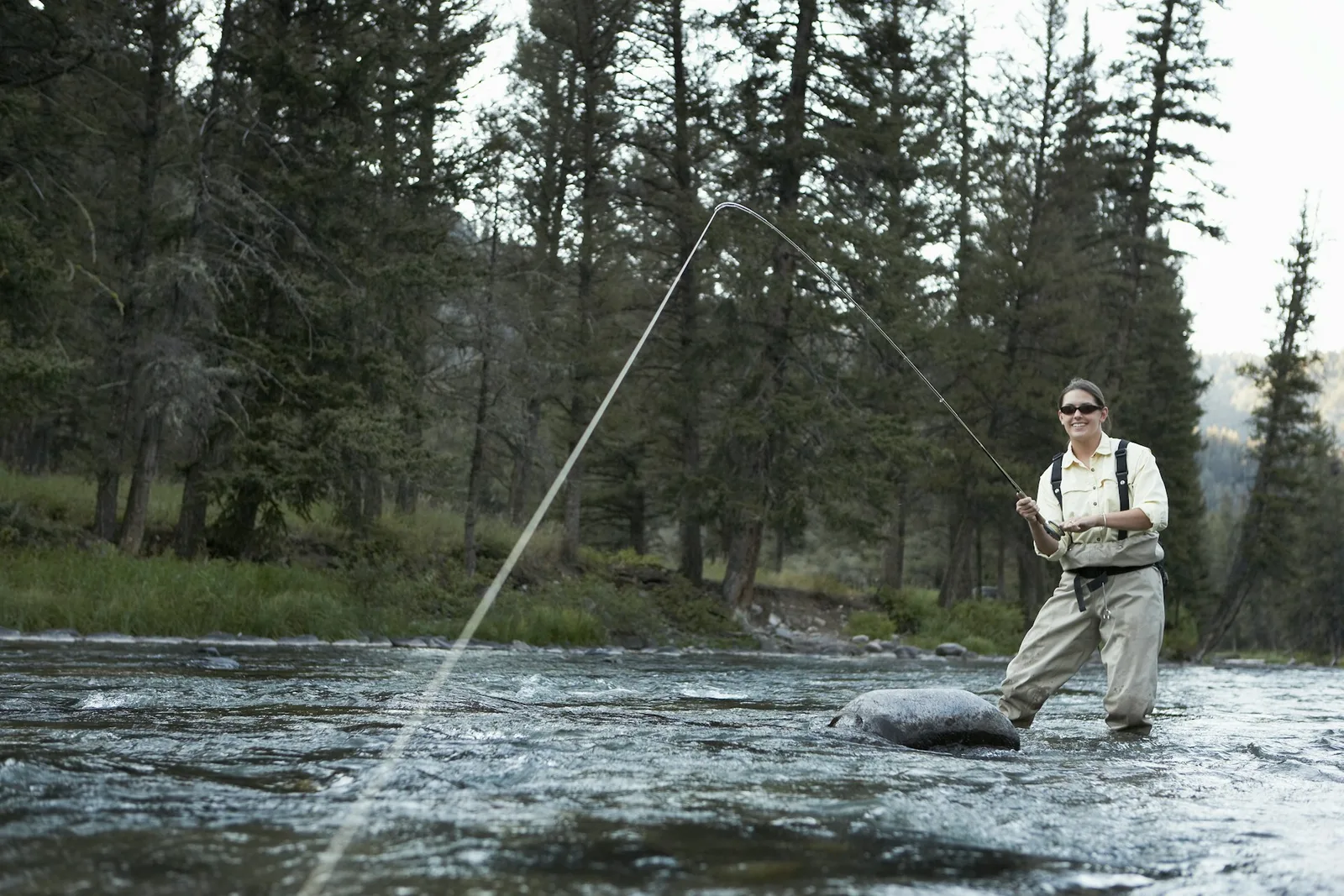 An angler casting a fly rod in a river below evergreen forest