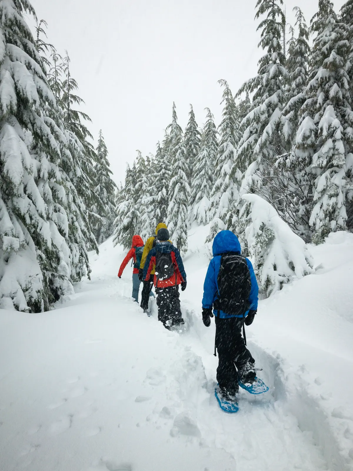 Jackson Hole winter group trip for men in Wyoming
